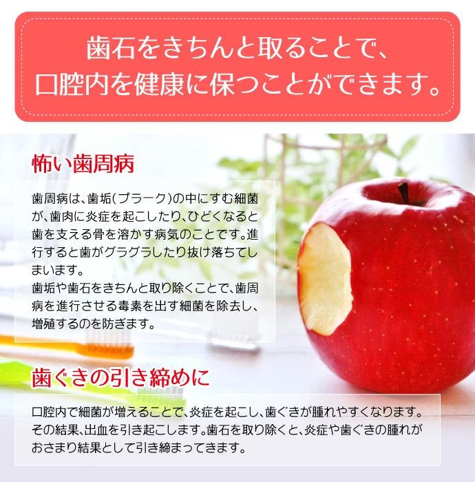 両頭鎌型スケーラー H5-33 1本【歯石取り 歯垢取り ヤニ取り】【ご新規さん限定商品】【メール便送料無料】