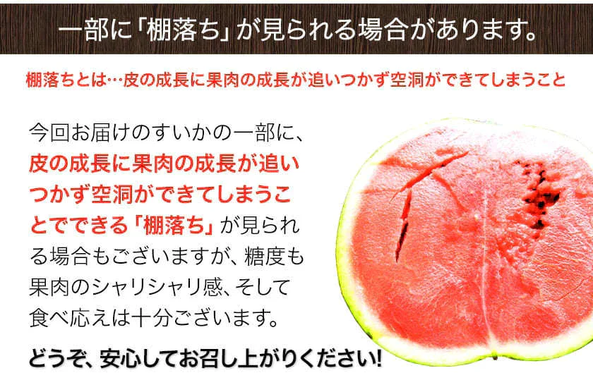 すいか 熊本県産 送料無料 訳あり スイカ 熊本すいか 1玉 S〜Mサイズ 4kg以上 果物 フルーツ 旬 食品 7-14営業日以内に出荷予定(土日祝日除く)