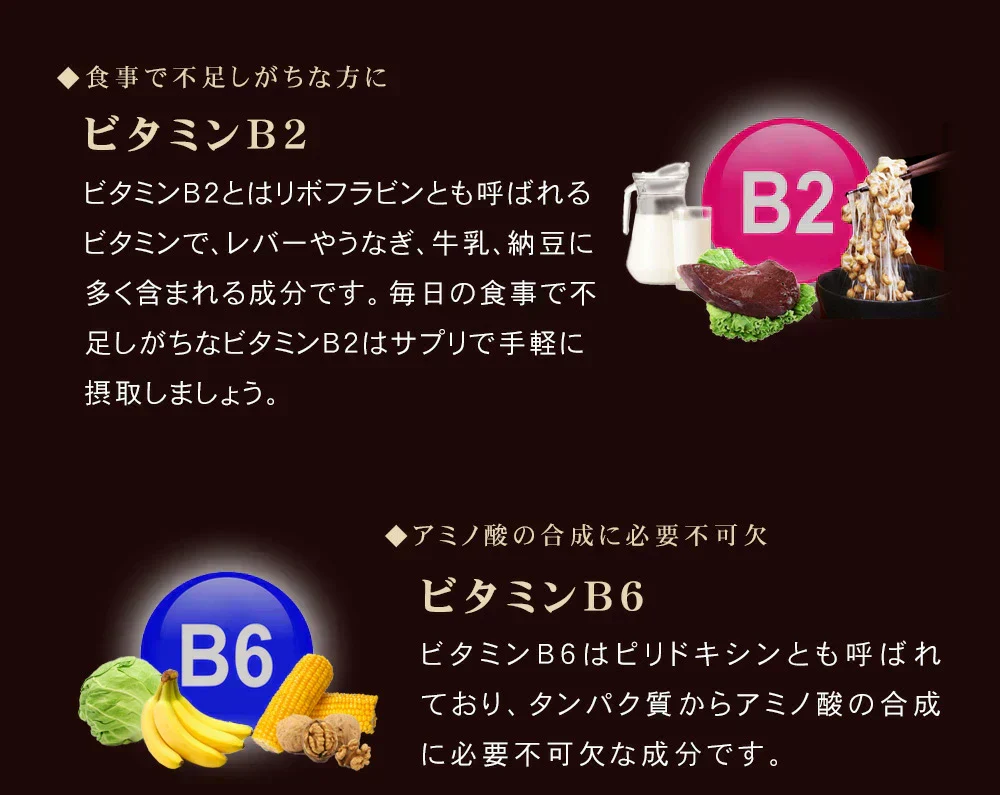 極プラセンタ《約6ヶ月分》 送料無料 プラセンタサプリ サプリメント ヘム鉄 豚プラセンタ 馬プラセンタ フェルラ酸 ビタミン フィッシュコラーゲン 潤い【大容量】