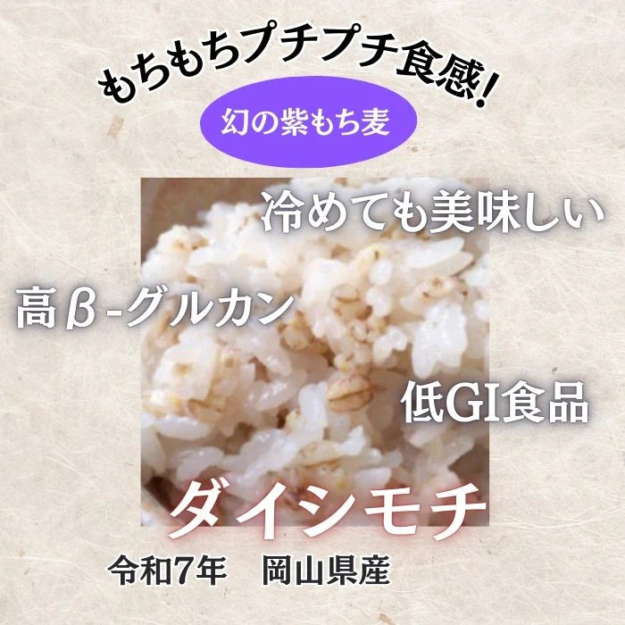 岡山県産 ダイシモチ/幻の紫もち麦 1kg 令和7年産