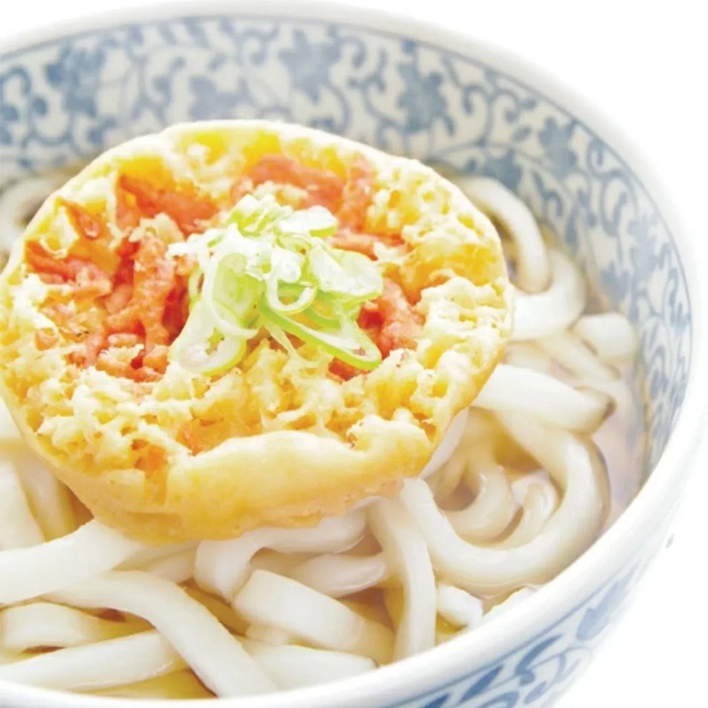 天ぷら一丁10食 天ぷらうどん 讃岐うどん 送料無料 (北海道・沖縄+1500円) ご当地セット 産直 福袋 一丁 食品 グルメ 食べ物 プレゼント ギフト ギフトセット お歳暮 御歳暮 歳暮