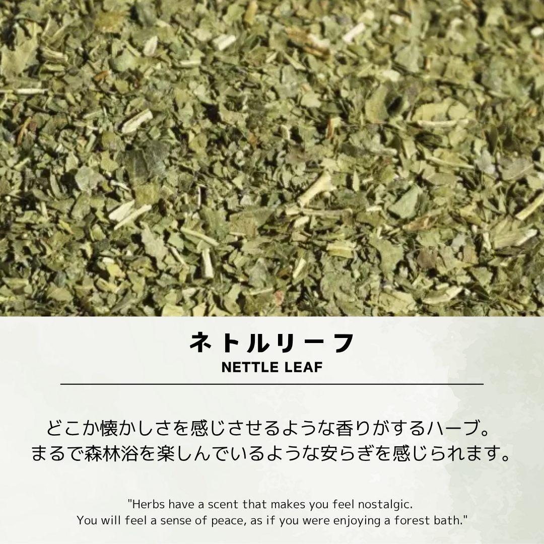 ネトルリーフ茶/約30杯/ノンカフェイン/国内製造/無香料・無着色/ハーブティー/お茶