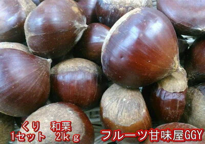 和栗 訳あり 1箱(2kg) L〜2Lサイズ 熊本産 クール便【ゲリラセール】60サイズ