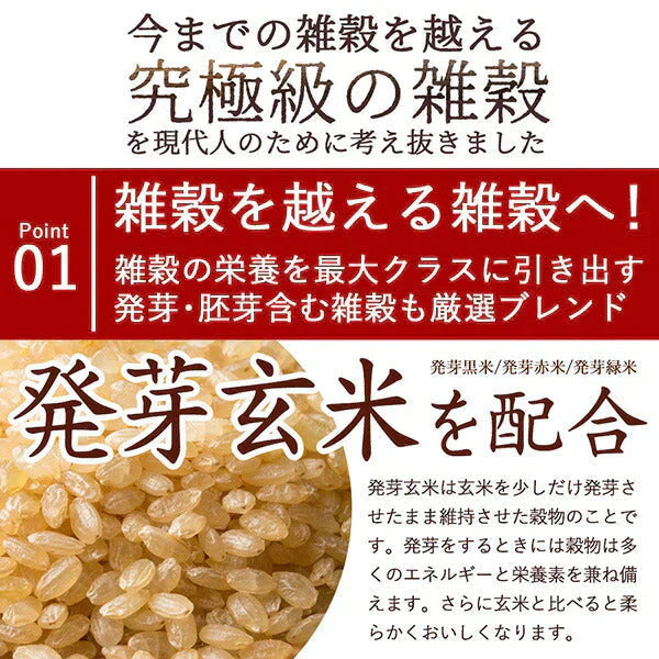 雑穀 雑穀米 国産 明日への輝き39穀米ブレンド 400g お試しサイズ 無添加 無着色 送料無料 ポスト投函【カウシェファーム収穫対象商品】