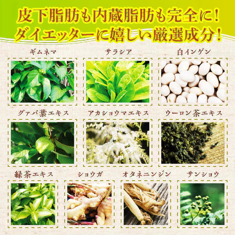 ●○11月上〜中旬発送予定○●『スラッと美スリムリミットダイエット(単品)』 ダイエット サポート サプリメント カロリーカット キトサン ギムネマ サラシア サプリ 健康食品 脂質 糖質制限 スラット美スリムリミットダイエット