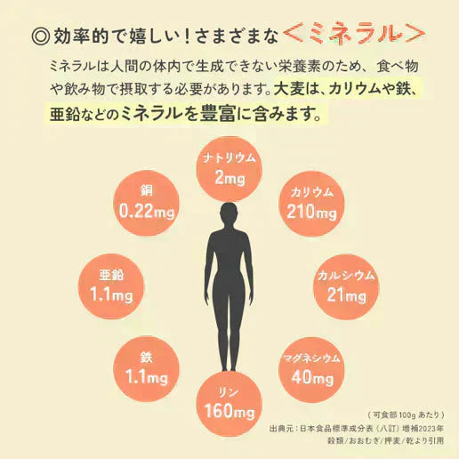 大麦粉使用の豆乳おからクッキー 500g 送料無料