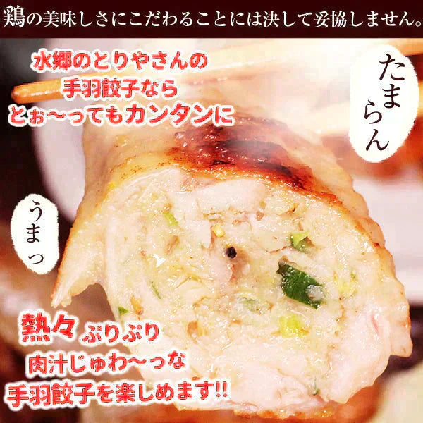8秒に1本売れてる!手羽先餃子10本セット