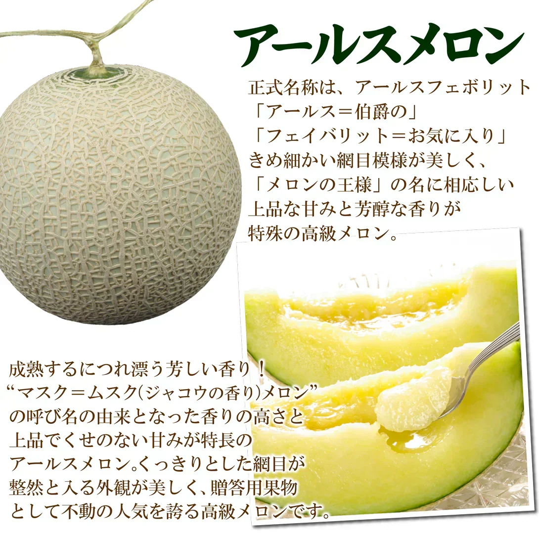 アールスメロン 2玉 1箱 産地おまかせ ご家庭用 3L以上