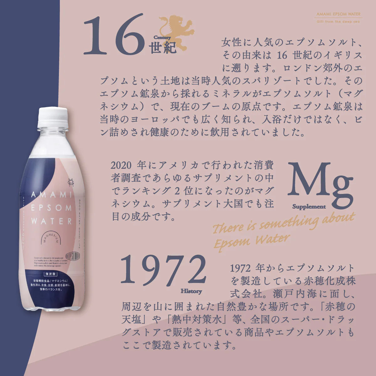 美と健康の炭酸水 エプソムウォーター 500ml 48本