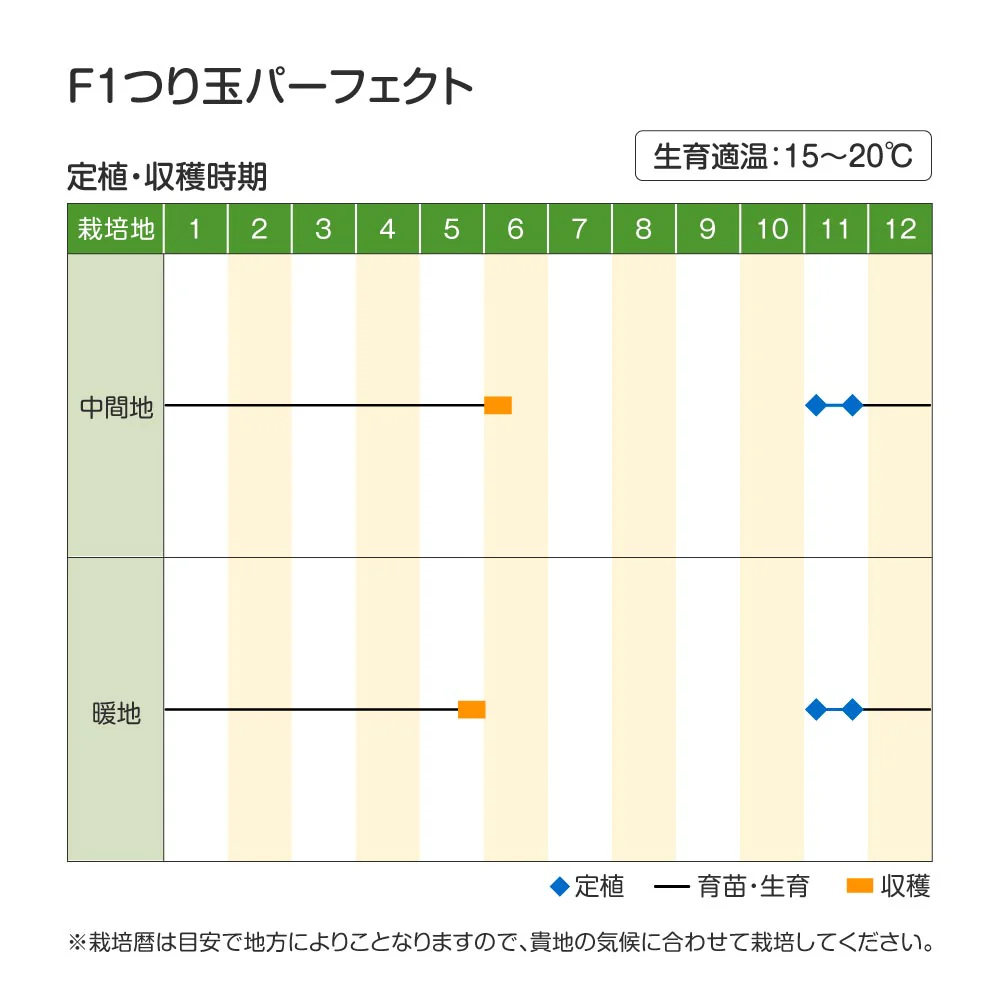 玉ねぎ苗(中晩生)F1つり玉パーフェクト 50本