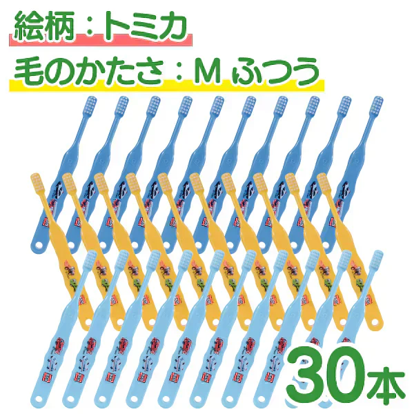 歯ブラシ 子供 Ci502 トミカ 3色アソート Mふつう 30本入【Ciメディカル 歯ブラシ】