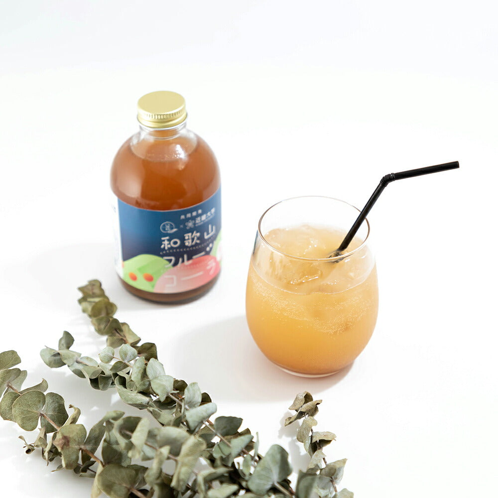 和歌山フルーツコーラ 桃 250mL×2本 ソフトドリンク モモ もも スパイス【送料込み】【お届け不可地域:北海道・沖縄・離島】
