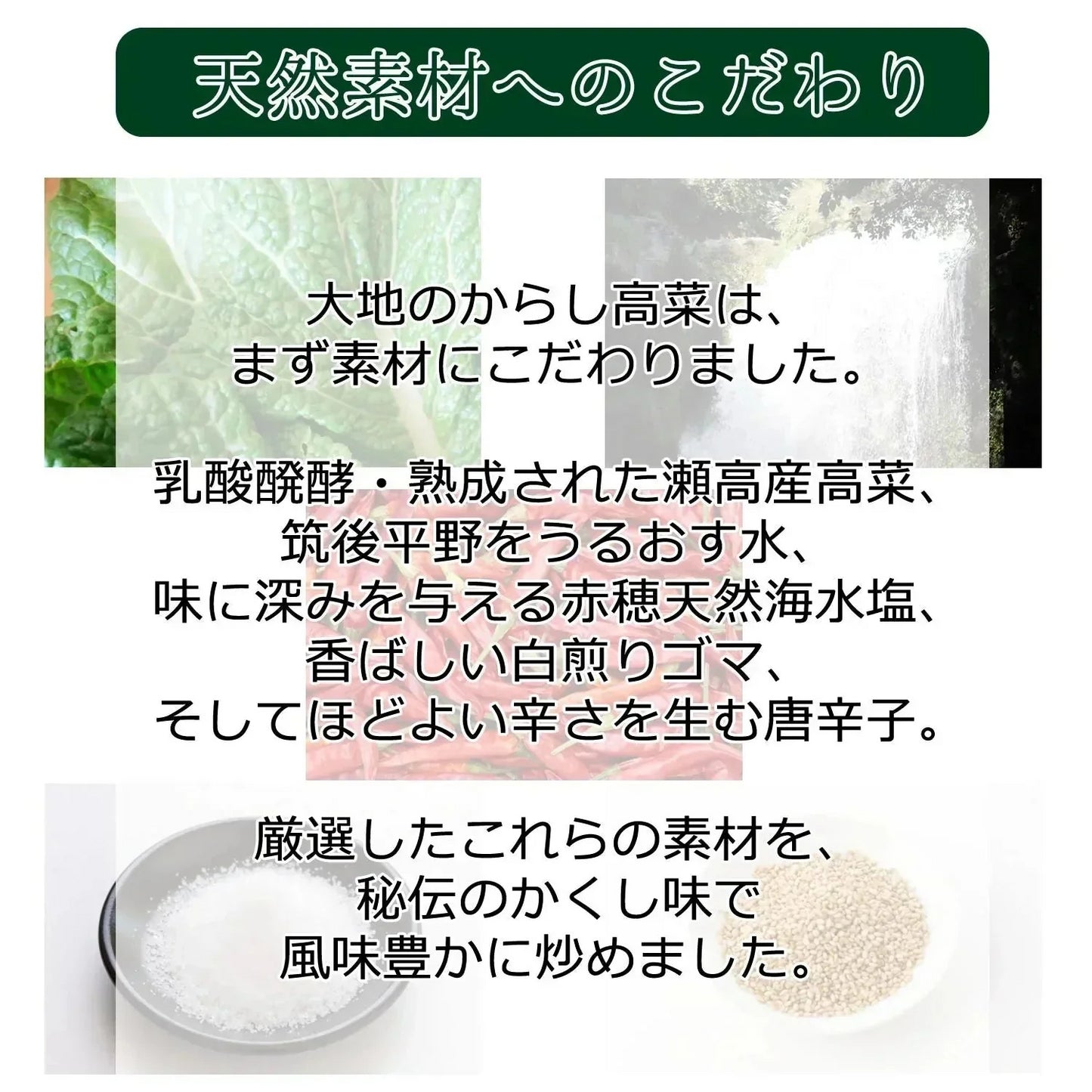 【300g】本場福岡県産 辛子高菜 大地のからし高菜 高菜漬け ピリ辛 ご飯のお供 風味豊か 保存食 おにぎり お茶漬け 豚骨ラーメン 炒飯 おつまみ 漬物 国産 常備菜 お弁当 惣菜 食物繊維