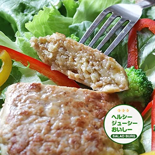 大豆ハンバーグ 代替肉 サラダバーグ 90g×6