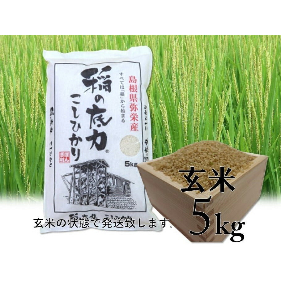 【3人シェア買いでお得】令和3年産 島根県特産品コシヒカリ稲の底力こしひかり玄米5kg【お届け不可地域:北海道・沖縄・離島】
