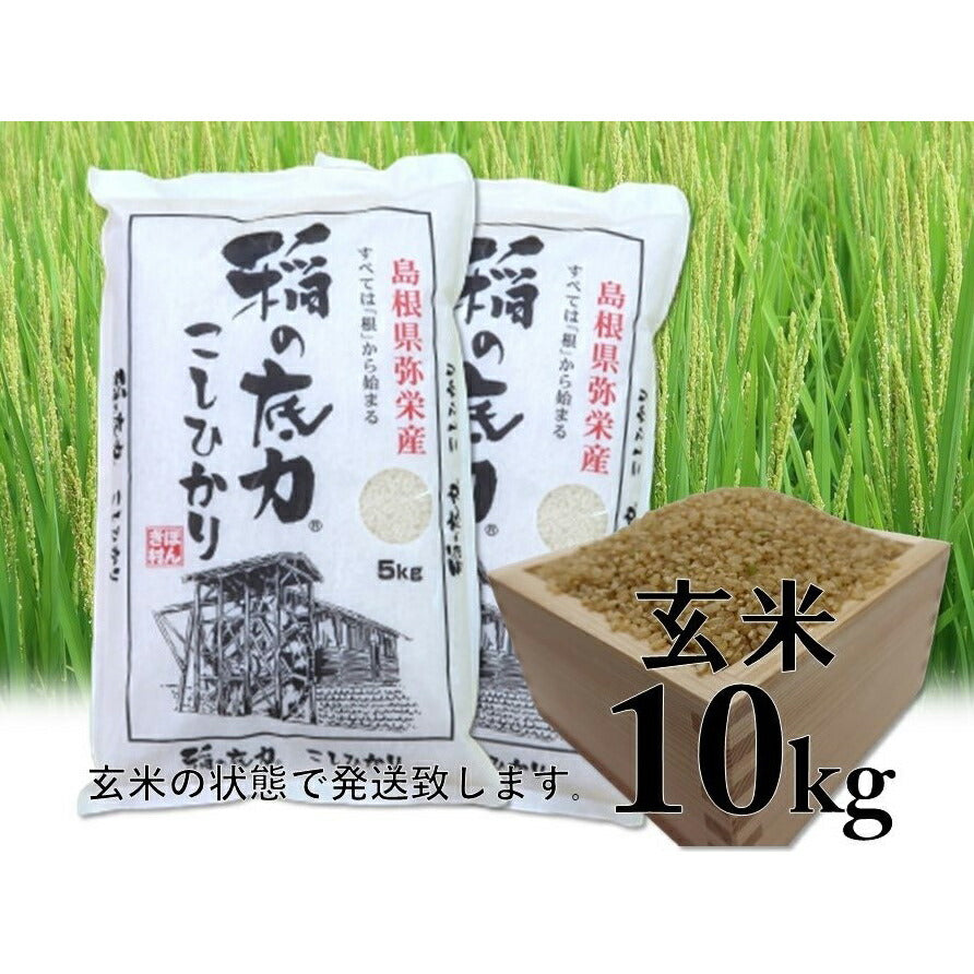 【3人シェア買いでお得】令和3年産 島根県特産品コシヒカリ稲の底力こしひかり玄米5kg×2(合計10kg)【お届け不可地域:北海道・沖縄・離島】