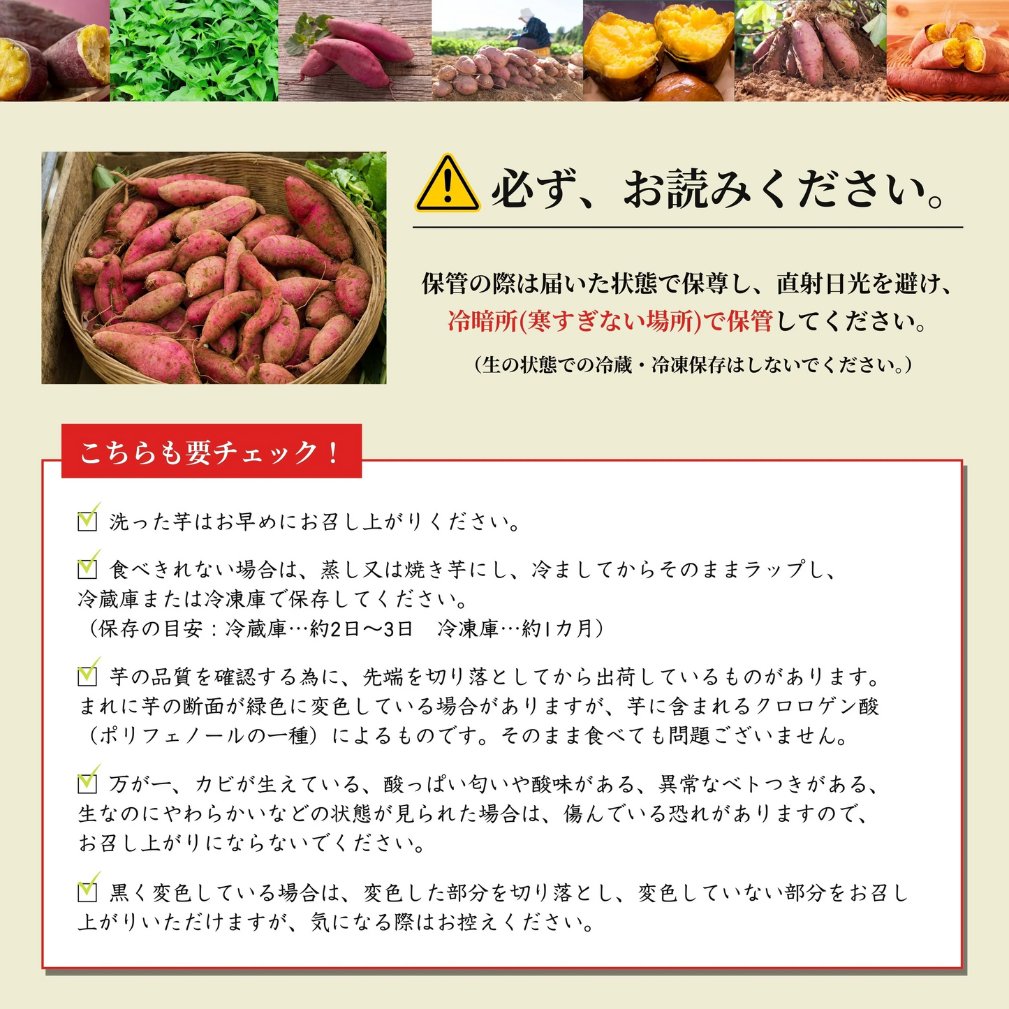 限定価格!焼き芋屋さんが送る 本場の鹿児島県産 紅はるか2kg