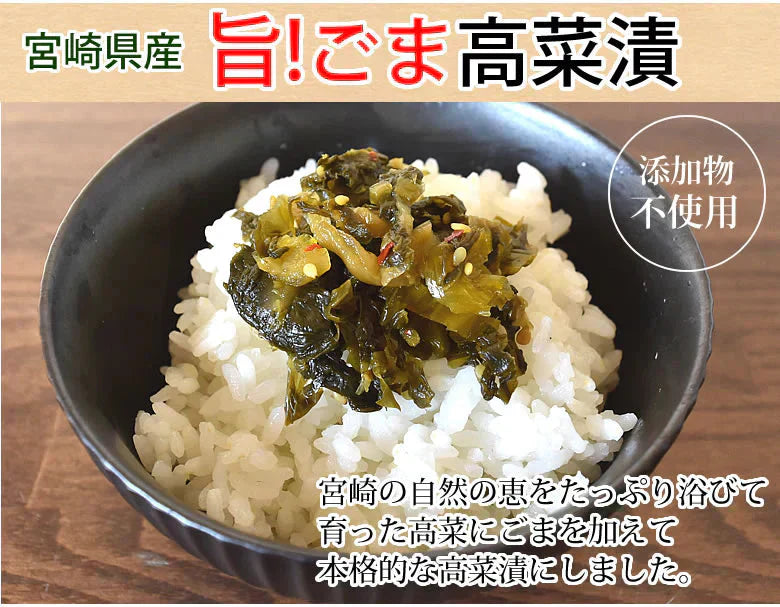 高菜漬 ごま高菜 漬物 600g(150g×4袋) 送料無料 お試し お取り寄せ 宮崎県産 胡麻たかな ポイント消化 つけもの