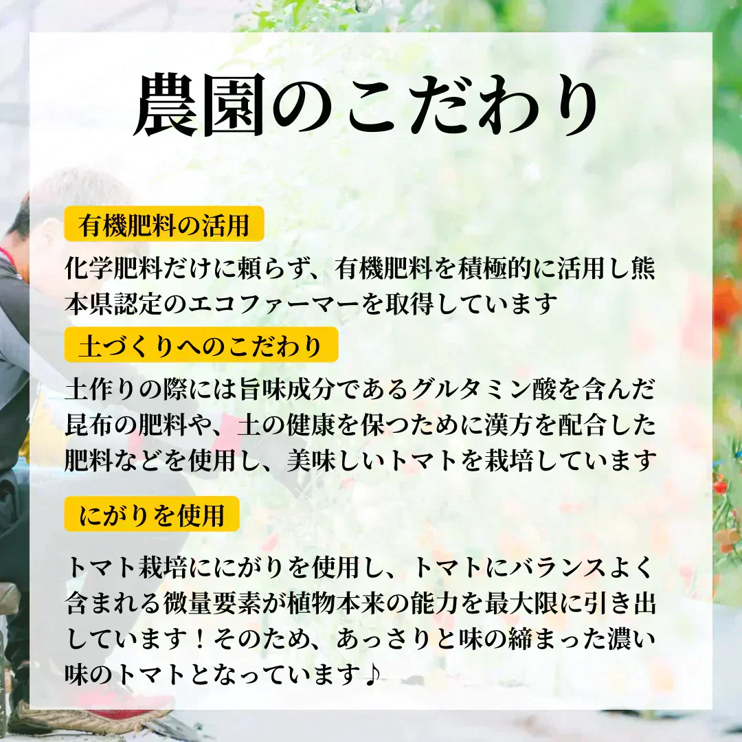 2kg 家族の笑顔が広がる完熟ミニトマト「トマランタン」東北配送不可】