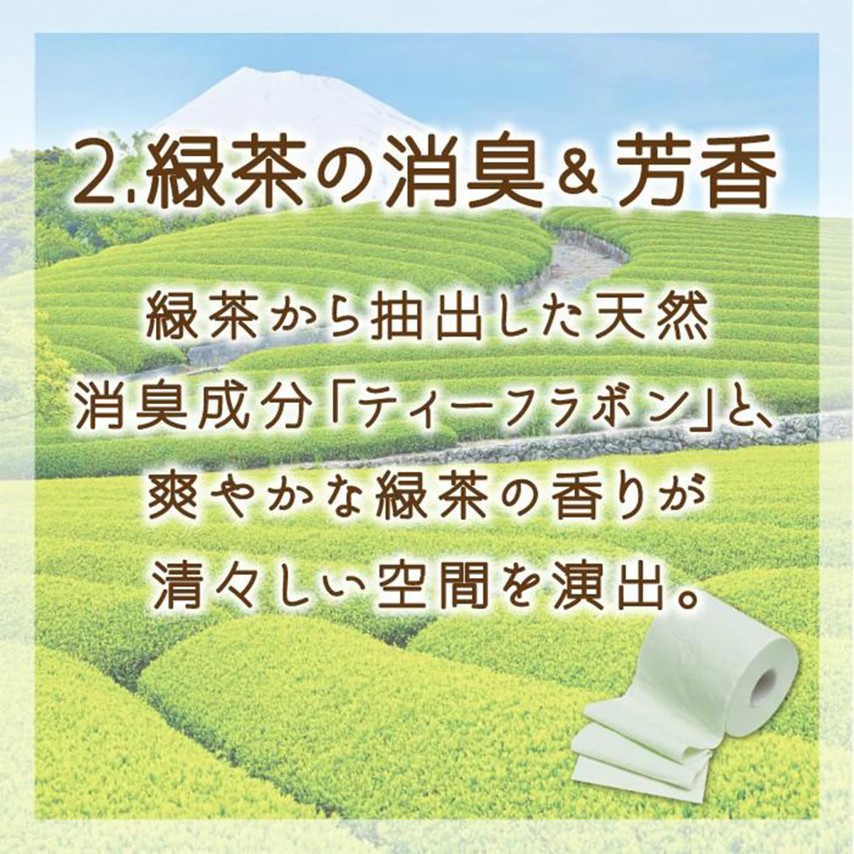 トイレットペーパー 丸富製紙 ペンギン 緑茶の力プレミアム 3枚重ね20m 130カット 8ロールX8パック