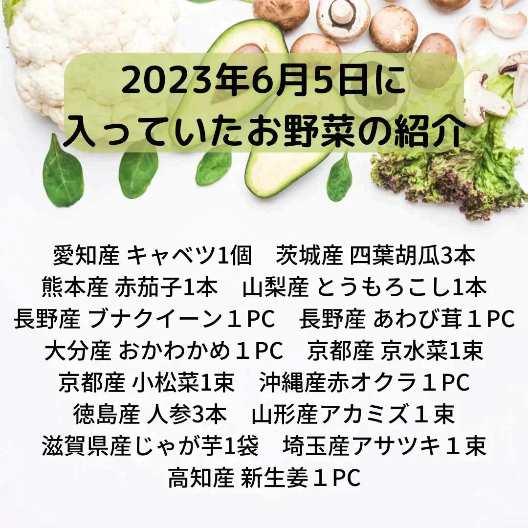【大田市場直送】全国から仕入れるこだわった野菜セット!おまかせ 15品詰め合わせ!【送料無料】
