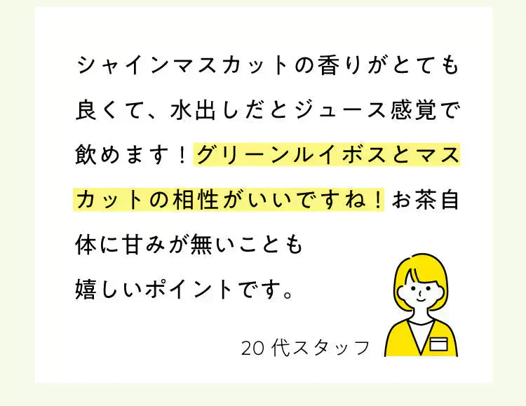 ★水出しOK★【約60杯分】アレンジルイボスティー シャインマスカット カップ用30個入 2袋セット(グリーンルイボスティー ティーバッグ ノンカフェイン ハーブティー)