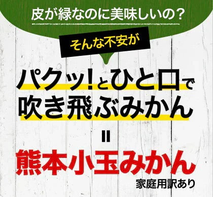 小玉 みかん 送料無料 訳あり みかん 小粒 1.5kg 家庭用 箱買い 果物 小粒 熊本 極早生 柑橘 九州 訳アリ だけど 小玉 で 甘い 蜜柑 わけあり 《9月中旬-9月末頃より発送予定》