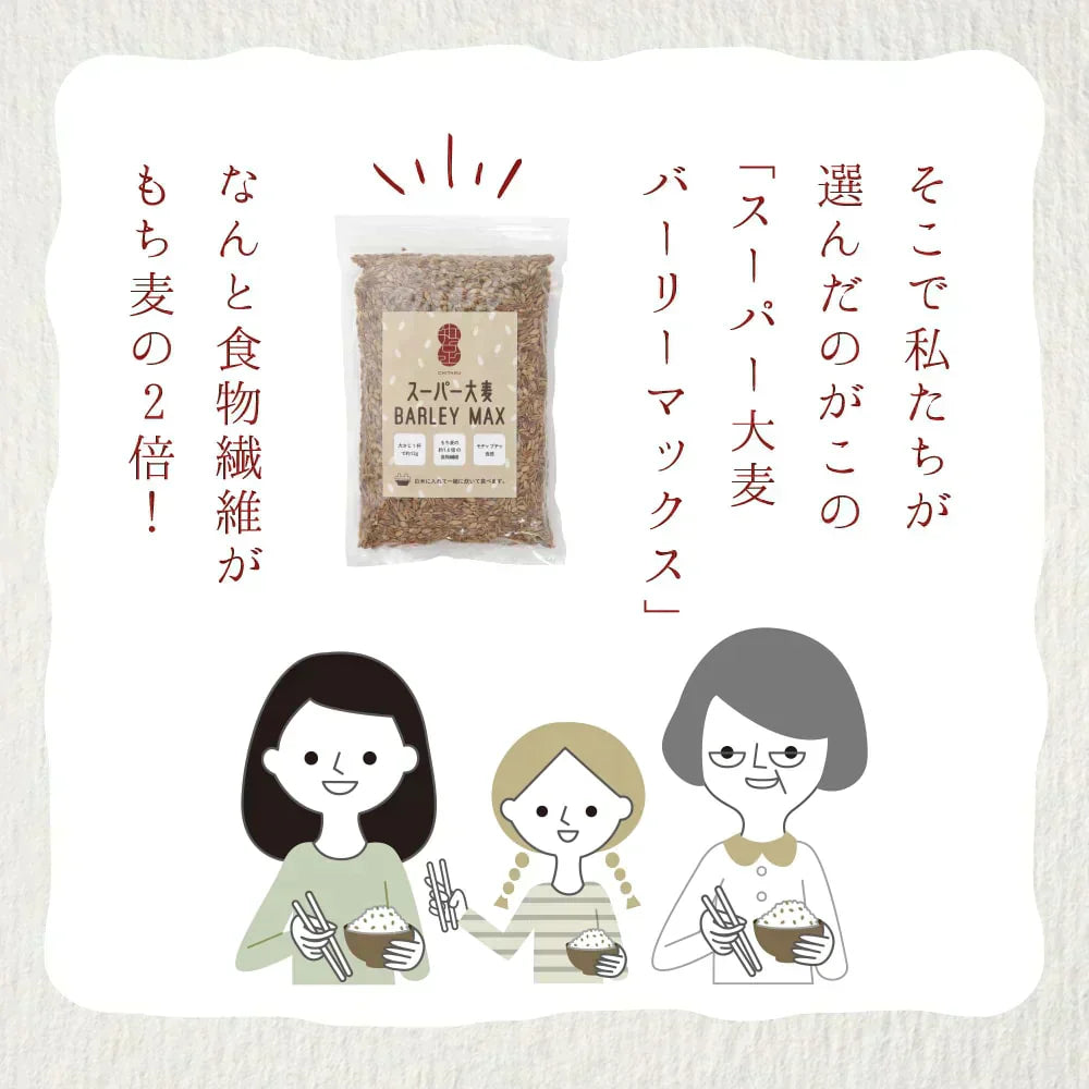 α化 スーパー大麦 800g/袋 バーリーマックス ダイエット 食物繊維 ミネラル スーパーフード 大麦 もち麦 玄麦 腸活 雑穀 レジスタントスターチ β-グルカン 糖質カット 糖質オフ 糖質制限