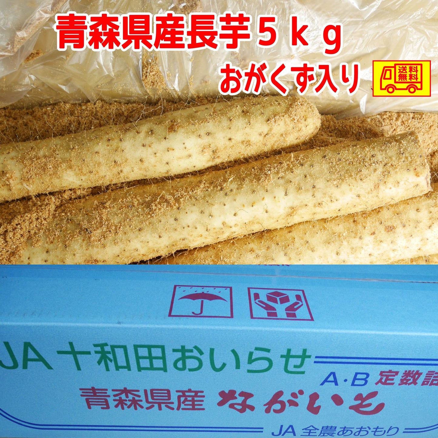 青森県産 長芋 5kg 洗浄済み ご家庭用 おがくず入り 送料無料!
