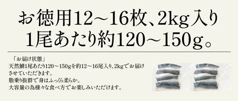 さば 無添加 無塩 トロさば サバ 鯖 約2kg(12〜16尾)トロ鯖 海鮮 天然 美味しい 魚 魚介 海産物 おかず おつまみ 乾き物 酒の肴 贈り物 お取り寄せグルメ 食べ物 おいしい 絶品
