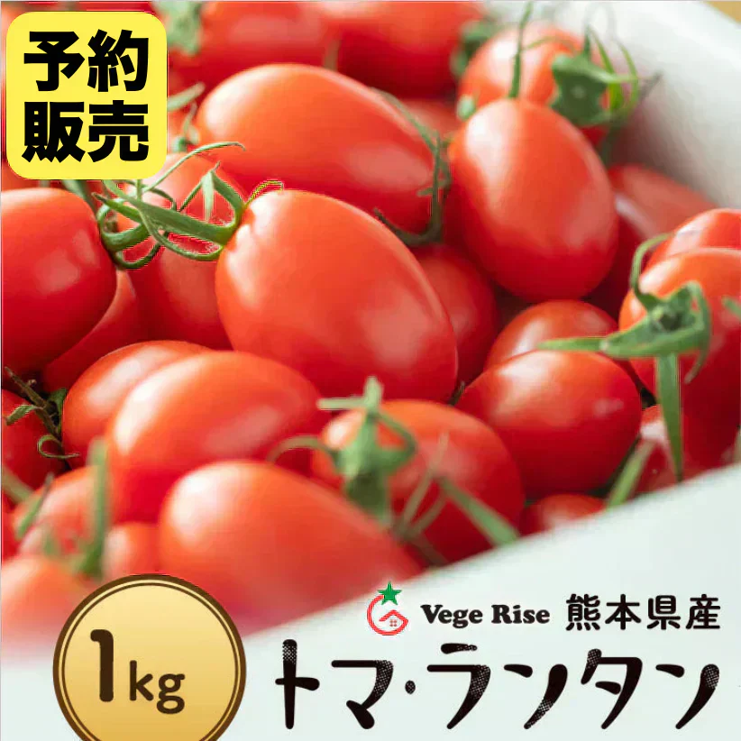 【予約】【2026年1月から順次発送】1kg トマランタン 笑顔溢れる甘さ♪超濃厚ミニトマト!【東北配送不可】
