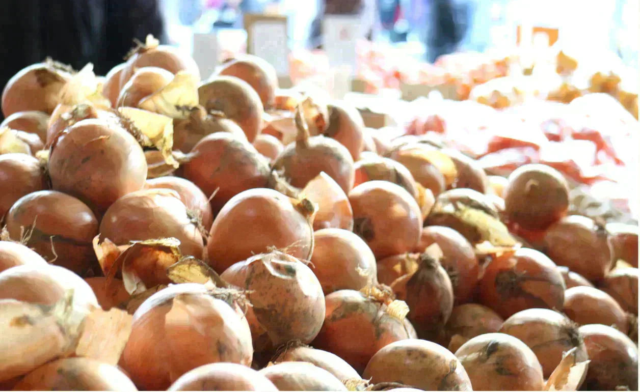 【有名飲食店 / ホテルも愛用】つやつやたまねぎ 2kg 野菜 根菜 玉葱 玉ねぎ タマネギ サラダ 市場 果物 料理 カレー 惣菜 ギフト