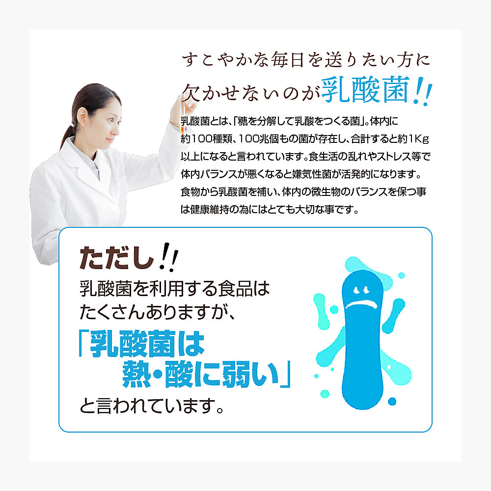 乳酸菌《約6ヶ月分》有胞子性乳酸菌ソフトカプセル/ 乳酸菌 高配合 サプリ 桜の花エキス