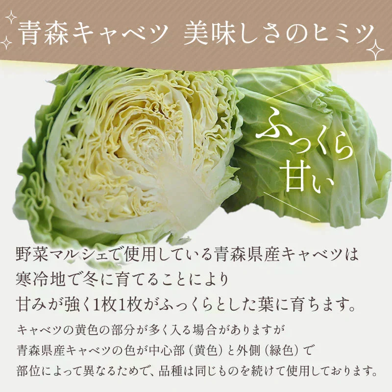 乾燥野菜 100g×2袋【青森のねぎ香るミックス】やさいマルシェ 無添加 ブドウ糖不使用 簡単 無駄なし 時短 青森産 アウトドア 災害常備菜 長期保存 食物繊維 国産