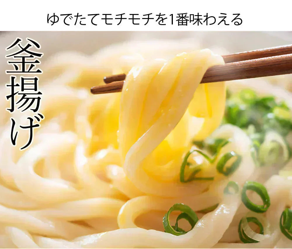 うどん 讃岐うどん 約6人前 600g (300gx2袋) つゆ付き 送料無料 本場讃岐 純生うどん 太麺 うどん お取り寄せ siawase6-tuyu