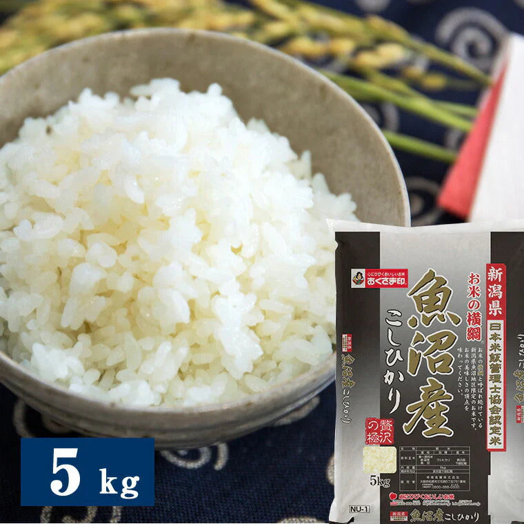 令和7年度産 新潟県魚沼産こしひかり 5kg 米匠庵のお米 精米【送料込み】