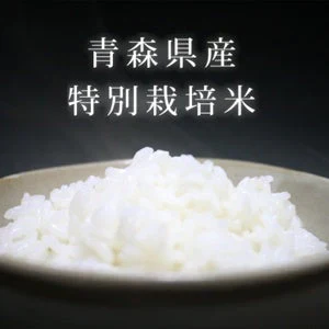 【白米】特別栽培米 減農薬&減化学肥料 お米 まっしぐら10kg