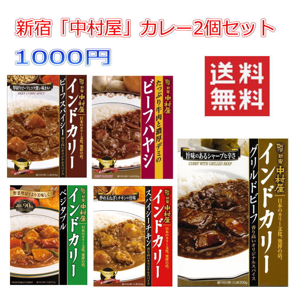 1000円均一 銀座 中村屋レトルトカレー ビーフスパイシー スパイシーチキン ベジタブル グリルドビーフ ビーフハヤシ 2食セット 送料無料
