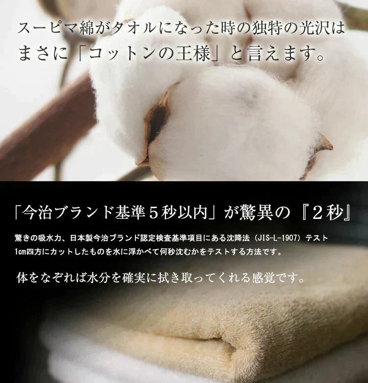 チャコールグレー ミニバスタオル スーピマコットン ホテルタイプタオル 同色2枚セット 【メール便送料無料】