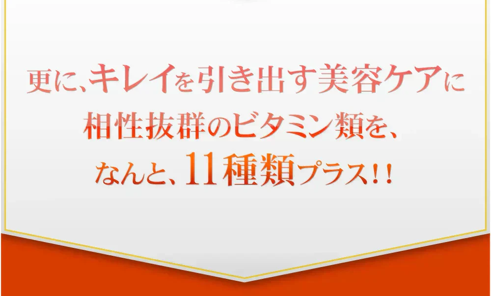 アスタキサンチン《約3ヶ月分》1年後、5年後、10年後、キレイに年齢を重ねたいアナタへアスタキサンチン 11種類のビタミン配合