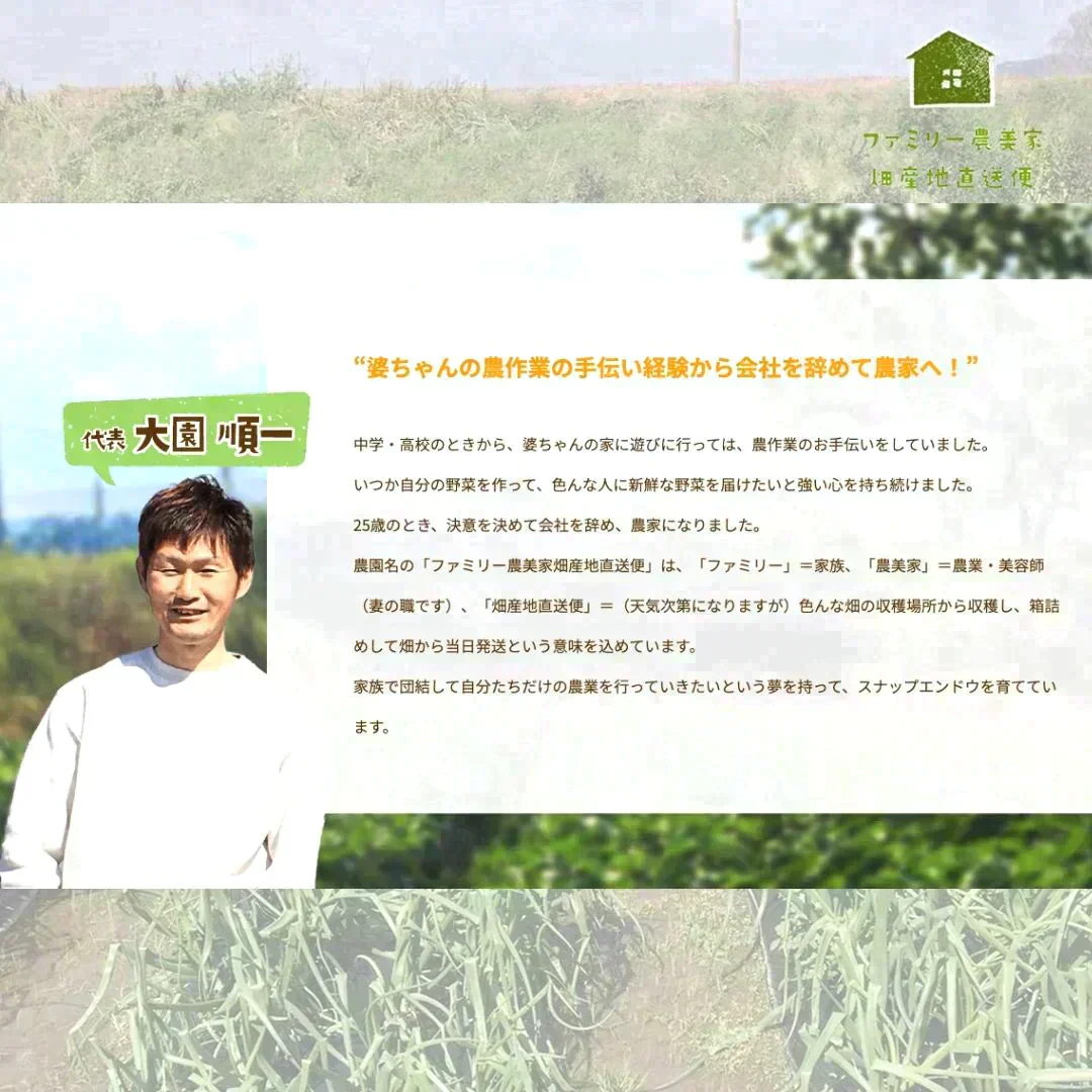 【農家直送!】鹿児島産 -甘塩ゴーヤ-(3kg,12本前後)採れたて新鮮! / 野菜 / 沖縄 / チャンプル / 佃煮 / 天ぷら / にがうり / 苦瓜 / 煮物 / サラダ / 新鮮 / 農産物 / 無農薬 / 送料無料【特産品・ご当地特集】
