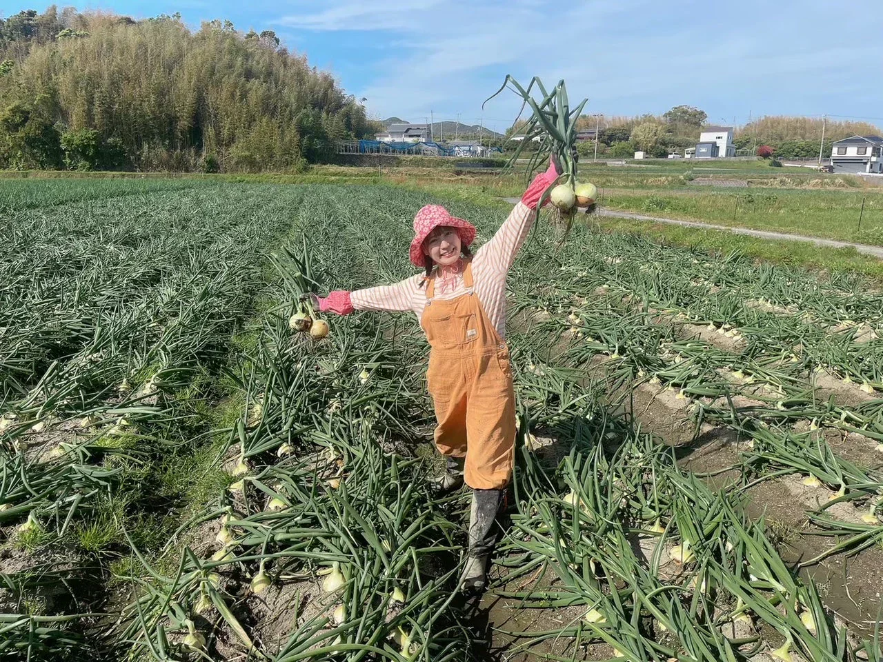 【予約殺到】【まるでフルーツ?!】みずみずしくとにかく甘い!淡路島産ブランド新玉ねぎ 『にじたま』早生 一級品 2.5kg(ご家庭用・8個前後) 使いやすいL・2L混在!
