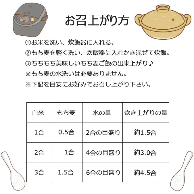 アグリ宮荘 キラリモチ もち麦 5kg