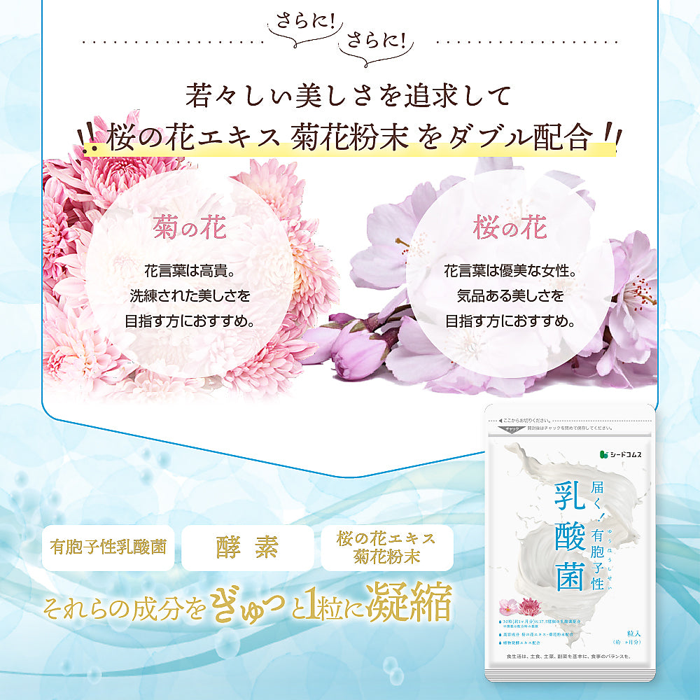 乳酸菌《約1ヶ月分》有胞子性乳酸菌ソフトカプセル/ 乳酸菌 高配合 サプリ 桜の花エキス【カウシェファーム収穫対象商品】