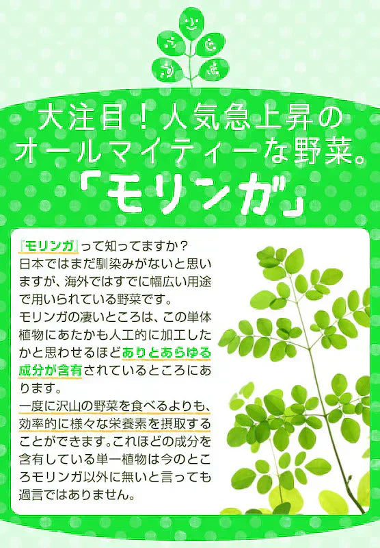 【大容量★約6ヶ月分】healthylife モリンガかぞく【乳酸菌 腸活乳酸菌 もち麦 腸活ダイエット 腸内細菌 腸内環境 腸内フローラ ポリフェノール 水溶性食物繊維 腸活ダイエット 野菜 スーパーベジタブル モリンガ末 乳酸菌 ラクトフェリン モリンガ おすすめ 人気 ランキング 効果 強力 最強 通販 日本製 国産 健康サプリ 健康食品