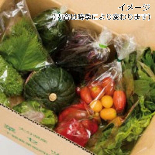 下郷農協の 旬の野菜8品目【送料込み】