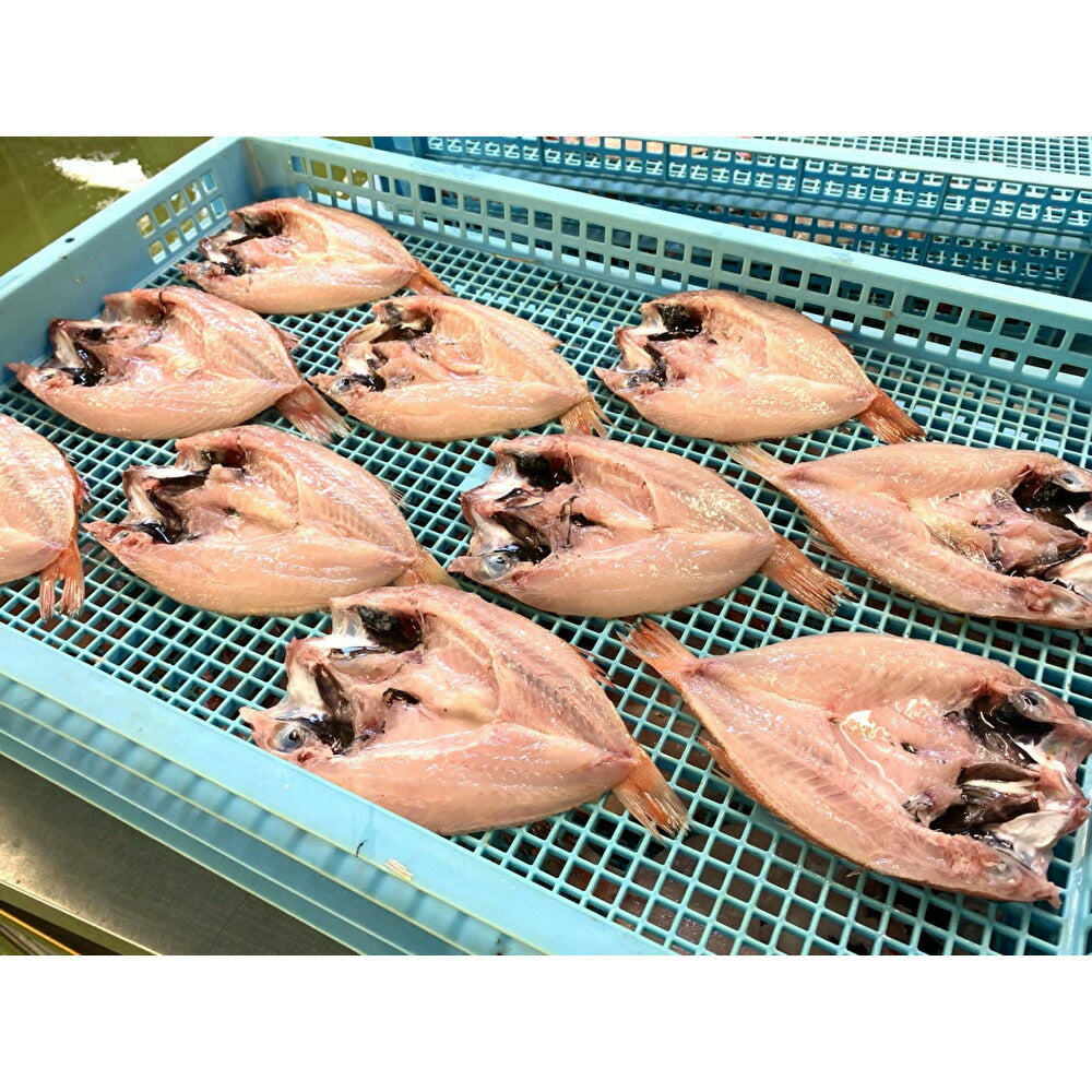 のどぐろ 干物 セット (小)【送料込み】