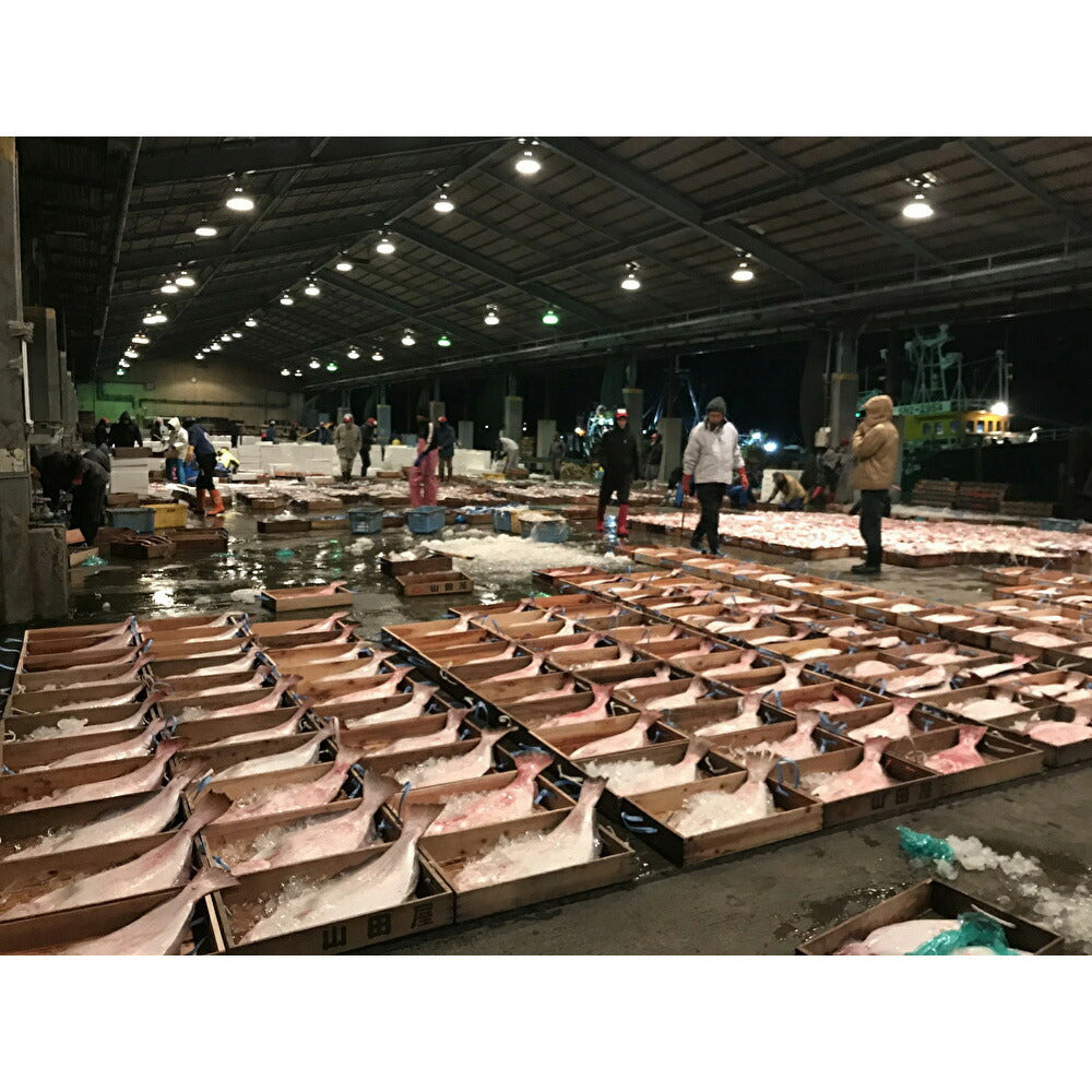 浜田港 ライフ セット (鶴)【送料込み】