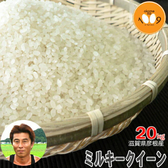 新米 滋賀県彦根産 ミルキークイーン 玄米 20kg 西村悟 令和6