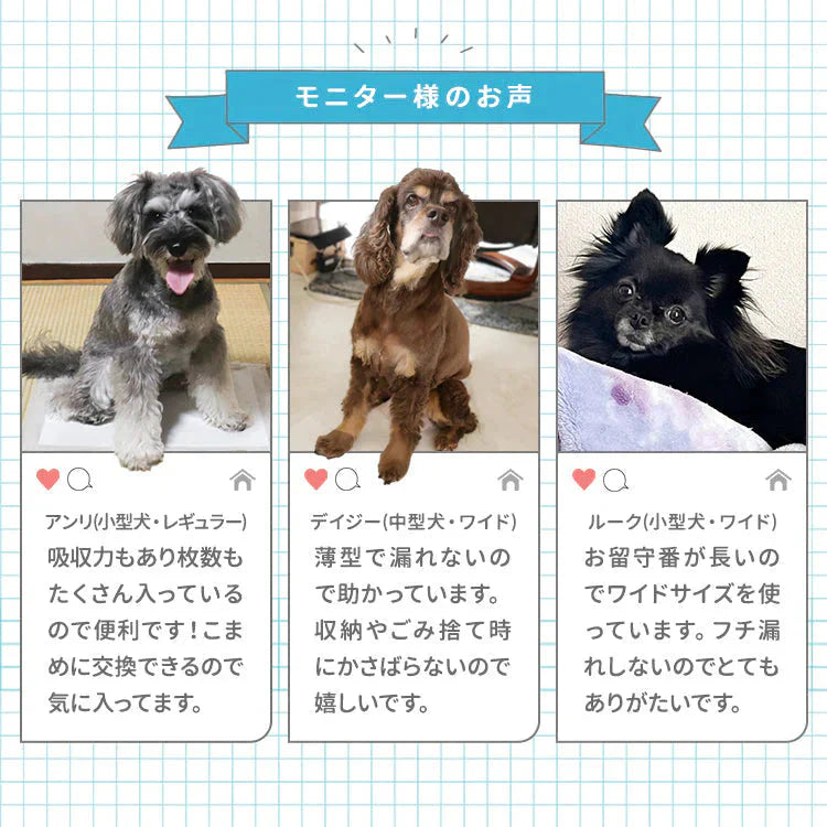 【ワイドサイズ/400枚入り】超薄型 ペットシーツ ペットシーツ 多頭飼い 大容量 まとめ買い 業務用 ペット用 ペットシート トイレシート 犬 猫 トイレシーツ ペット用シーツ ペットシート おしっこシート おむつ替えシート 送料無料